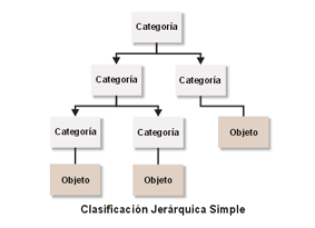 clasificacin jerrquica simple