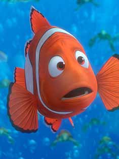 imagen del pez Nemo