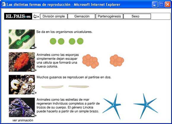infografa interactiva