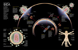 infografa